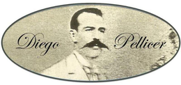 DIEGO PELLICER trademark