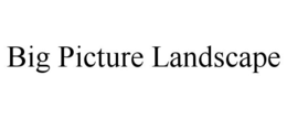 BIG PICTURE LANDSCAPE trademark