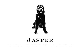 JASPER trademark