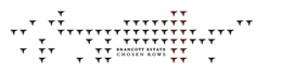 BRANCOTT ESTATE CHOSEN ROWS trademark