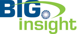 BIG INSIGHT trademark