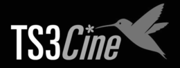 TS3CINE trademark