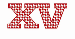 X V trademark