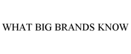 WHAT BIG BRANDS KNOW trademark