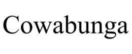 COWABUNGA trademark