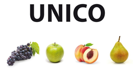 UNICO trademark