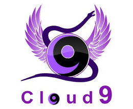 C9 CLOUD 9 trademark