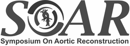 SOAR SYMPOSIUM ON AORTIC RECONSTRUCTION trademark