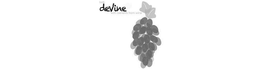 LOOK DEVINE WITH BENEFITS FROM WINE trademark