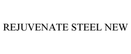 REJUVENATE STEEL NEW trademark