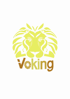 VOKING trademark