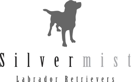 SILVERMIST LABRADOR RETRIEVERS trademark