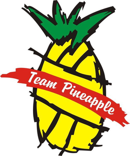 TEAM PINEAPPLE trademark
