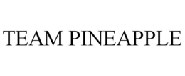 TEAM PINEAPPLE trademark