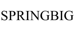 SPRINGBIG trademark