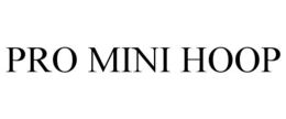 PRO MINI HOOP trademark