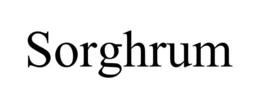 SORGHRUM trademark