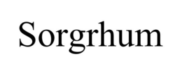 SORGRHUM trademark