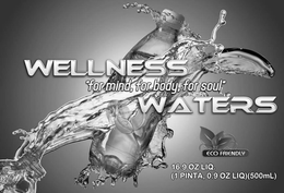 WELLNESS WATERS "FOR MIND, FOR BODY, FOR SOUL" 16.9 OZ LIQ ( 1 PINTA, 0.9 OZ LIQ) 500ML trademark