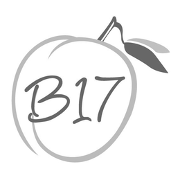 B17 trademark