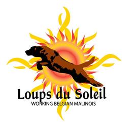 LOUPS DU SOLEIL WORKING BELGIAN MALINOIS trademark
