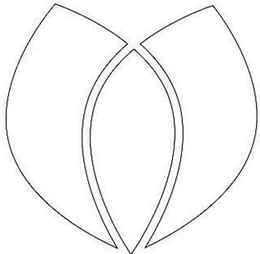 V trademark