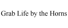 GRAB LIFE BY THE HORNS trademark