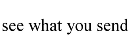 SEE WHAT YOU SEND trademark
