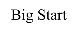 BIG START trademark