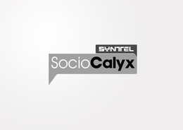 SYNTEL SOCIOCALYX trademark