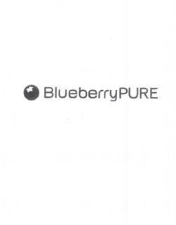 "BLUEBERRYPURE" trademark