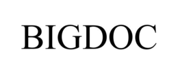 BIGDOC trademark