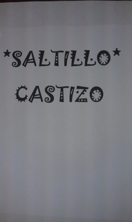 SALTILLO CASTIZO trademark