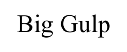 BIG GULP trademark