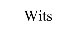 WITS trademark