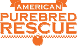 AMERICAN PUREBRED RESCUE trademark