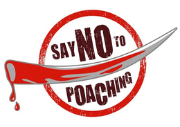 SAY NO TO POACHING trademark
