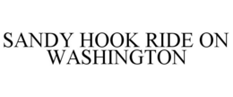 SANDY HOOK RIDE ON WASHINGTON trademark