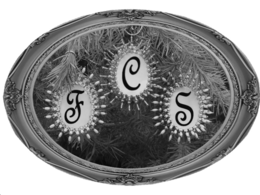 FCS trademark