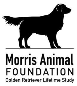 MORRIS ANIMAL FOUNDATION GOLDEN RETRIEVER LIFETIME STUDY trademark