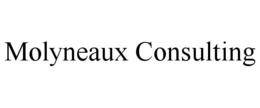MOLYNEAUX CONSULTING trademark