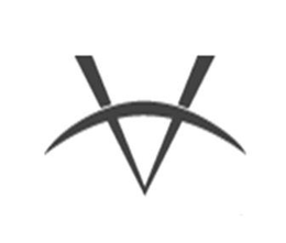 V trademark
