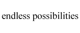 ENDLESS POSSIBILITIES trademark