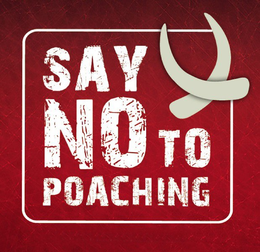 SAY NO TO POACHING trademark