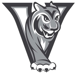 V trademark