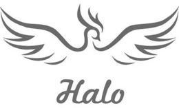 HALO trademark