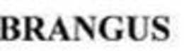 BRANGUS trademark
