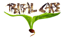 TRIBAL CAFE trademark