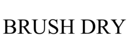 BRUSH DRY trademark