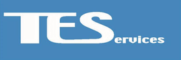 TESERVICES trademark